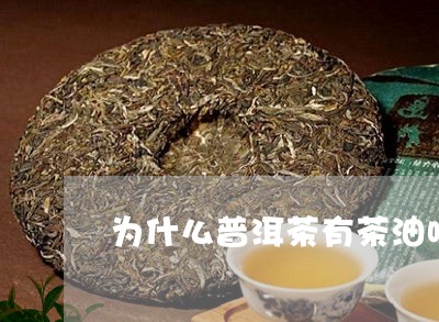 为什么普洱茶有茶油味儿/2023110516159