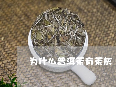 为什么普洱茶有茶灰/2023071086037