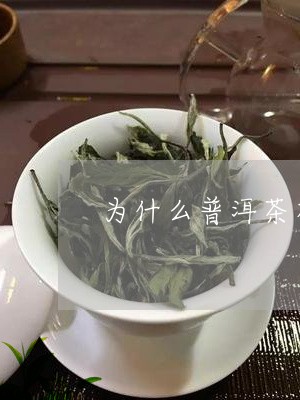 为什么普洱茶有虫味呢能喝吗/2023082855059