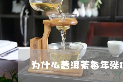 为什么普洱茶每年涨价/2023080138270