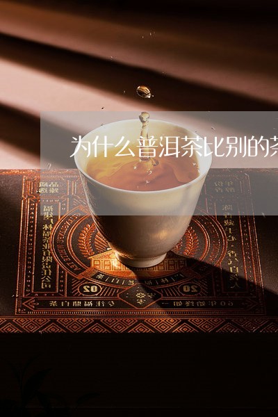 为什么普洱茶比别的茶贵很多/2023082802813