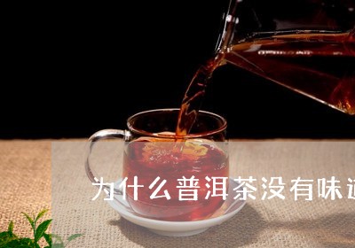 为什么普洱茶没有味道/2023062109514