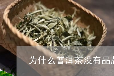 为什么普洱茶没有品牌/2023100538483