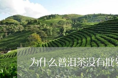 为什么普洱茶没有批号/2023080230502