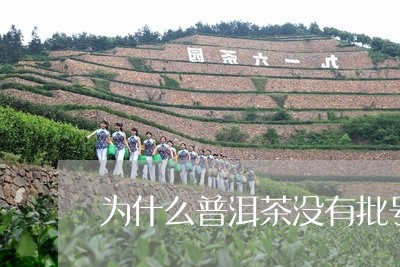 为什么普洱茶没有批号/2023100606158