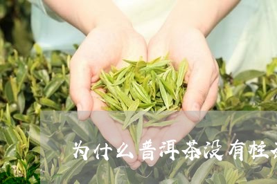 为什么普洱茶没有柱茶/2023120609371