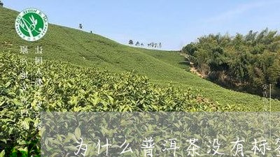 为什么普洱茶没有标签/2023100883857