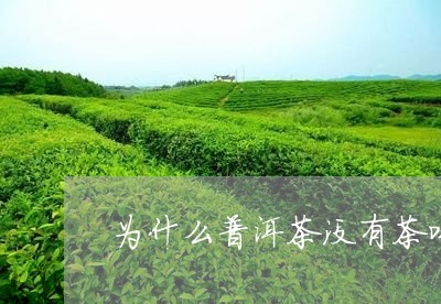 为什么普洱茶没有茶味/2023080321536