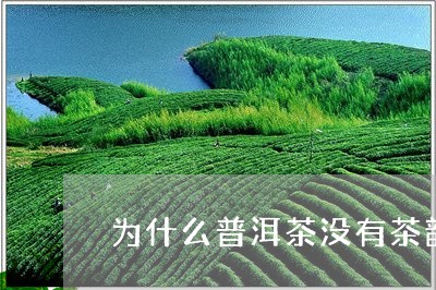 为什么普洱茶没有茶韵/2023063082837