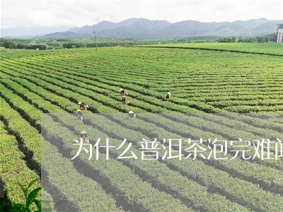 为什么普洱茶泡完难闻/2023073121525