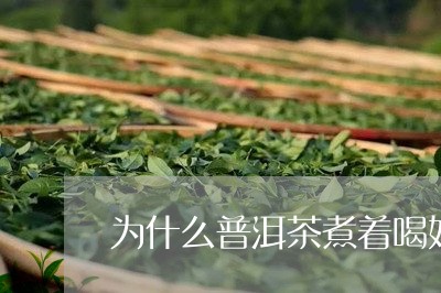 为什么普洱茶煮着喝好/2023080264026