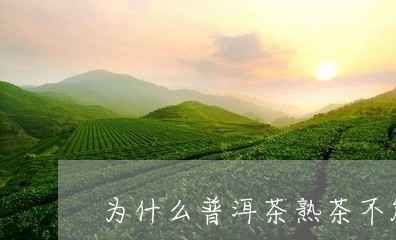 为什么普洱茶熟茶不能喝/2023110160382