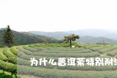 为什么普洱茶特别耐泡茶/2023110563825