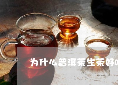 为什么普洱茶生茶好喝呢/2023082883937