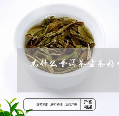 为什么普洱茶生茶好喝还贵/2023082884927