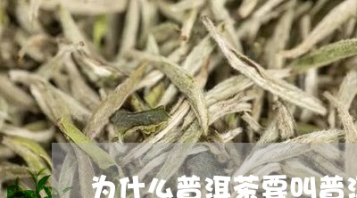 为什么普洱茶要叫普洱/2023062869582