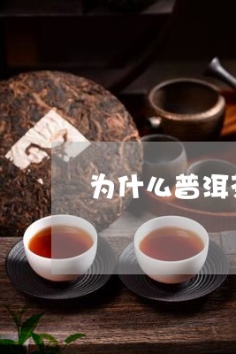 为什么普洱茶要有茶梗/2023062968403