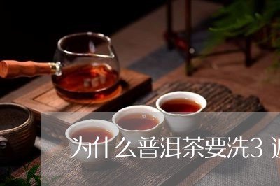 为什么普洱茶要洗3遍/2023092726150