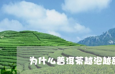 为什么普洱茶越泡越甜/2023092760594