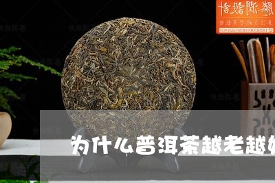 为什么普洱茶越老越好/2023062472817