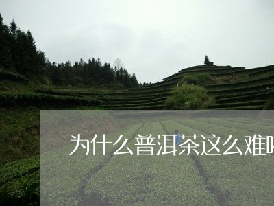 为什么普洱茶这么难喝/2023080129261