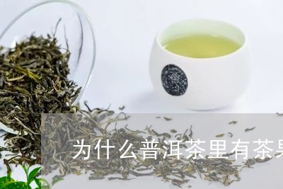 为什么普洱茶里有茶果/2023062279724