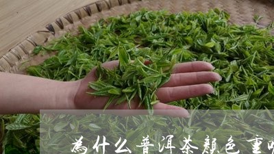 为什么普洱茶颜色重呢/2023120649273