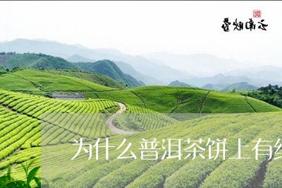 为什么普洱茶饼上有纸/2023062310627