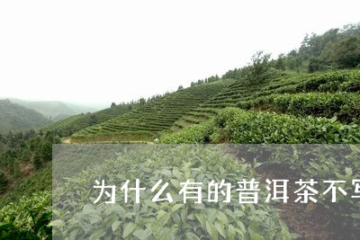 为什么有的普洱茶不写等级/2023081562926