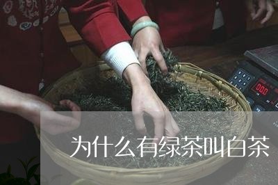 为什么有绿茶叫白茶/2023121648260