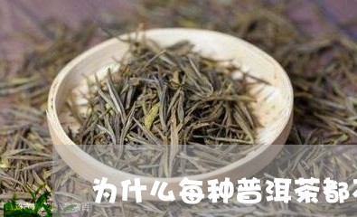 为什么每种普洱茶都不一样/2024010480683