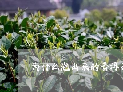 为什么泡出来的普洱茶不香/2023082524270