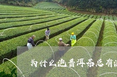 为什么泡普洱茶总有泡沫/2023081446047