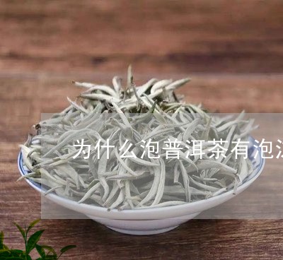 为什么泡普洱茶有泡沫/2023092839382