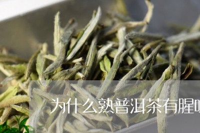 为什么熟普洱茶有腥味/2023092992715