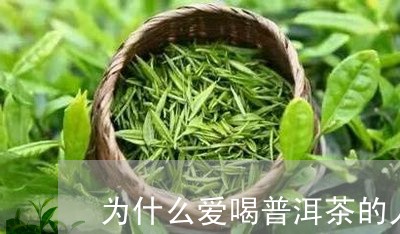 为什么爱喝普洱茶的人少/2023103193948