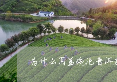 为什么用盖碗泡普洱茶/2023072357361