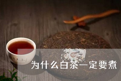 为什么白茶一定要煮/2023081164138