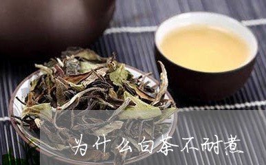 为什么白茶不耐煮/2023061423605