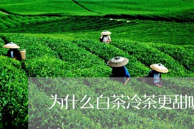 为什么白茶冷茶更甜呢/2023092638481