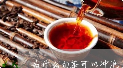 为什么白茶可以冲泡/2023121634930