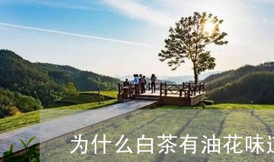 为什么白茶有油花味道/2023092749461