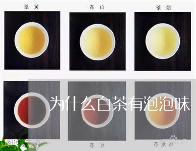 为什么白茶有泡泡味/2023071450491