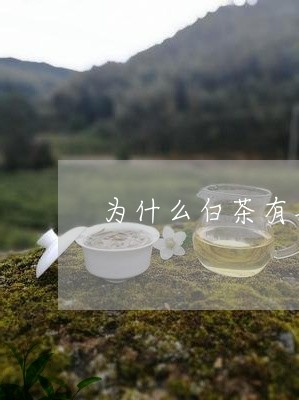 为什么白茶有黑茶味/2023071473603