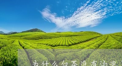 为什么白茶没有汤泡了/2023092701614