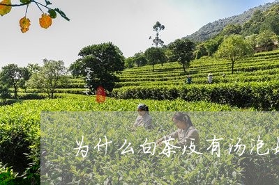 为什么白茶没有汤泡好/2023092762716