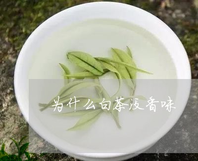 为什么白茶没香味/2023061455061