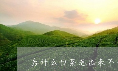 为什么白茶泡出来不白/2023092703927