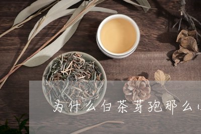 为什么白茶芽孢那么小/2023092798351