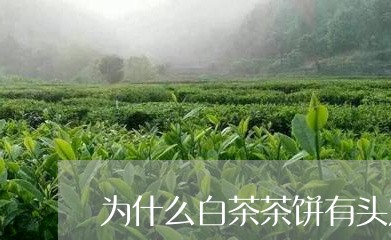 为什么白茶茶饼有头发/2023092748583